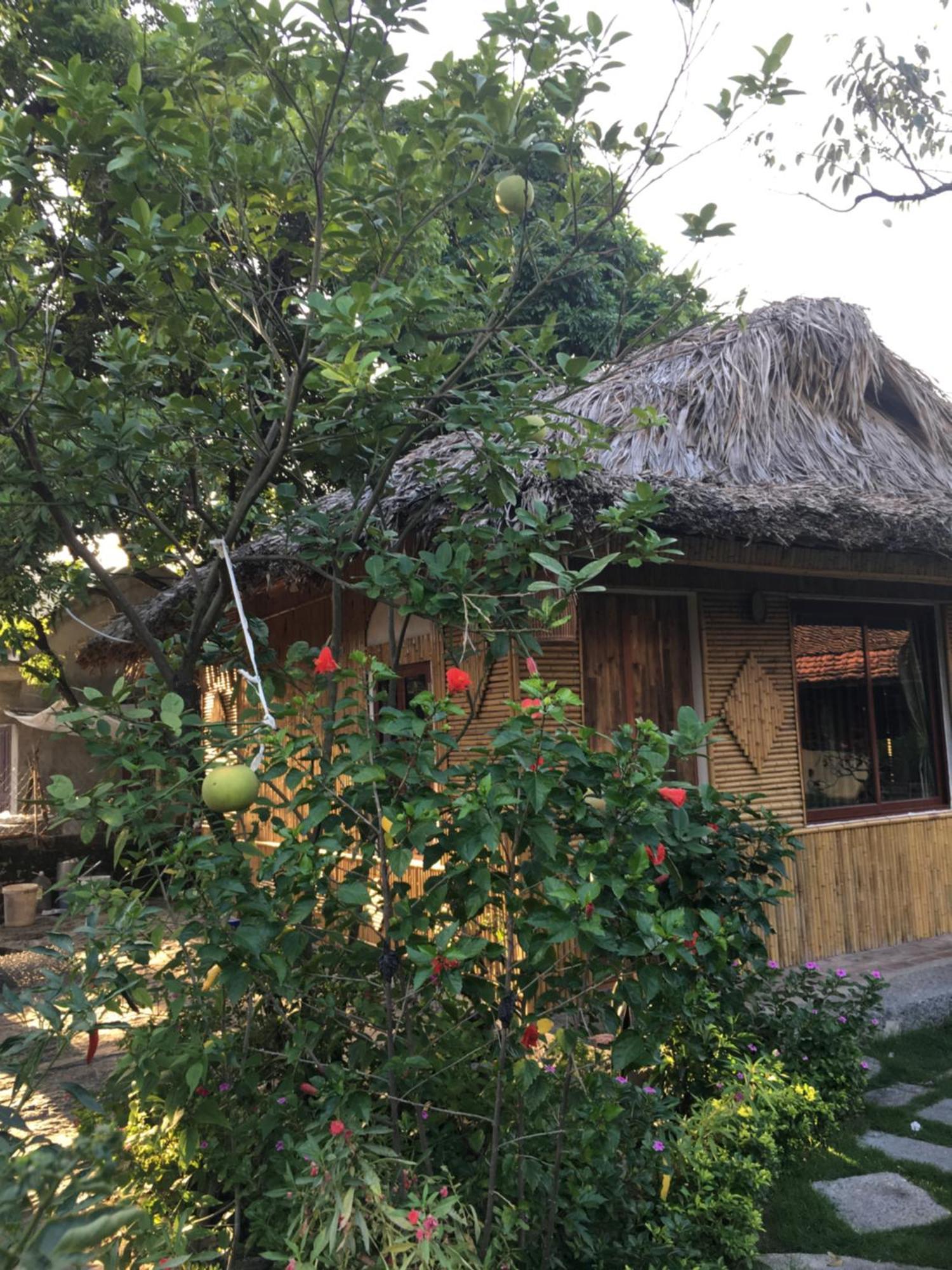 Tam Coc Palm House Villa Ninh Binh Eksteriør bilde